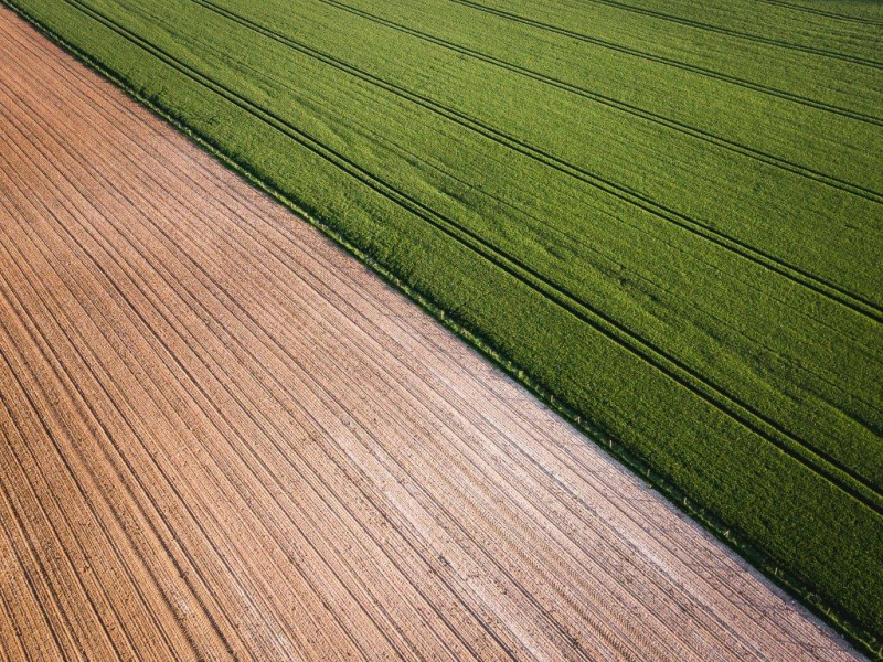 INE confirma crescimento da agricultura em 2017