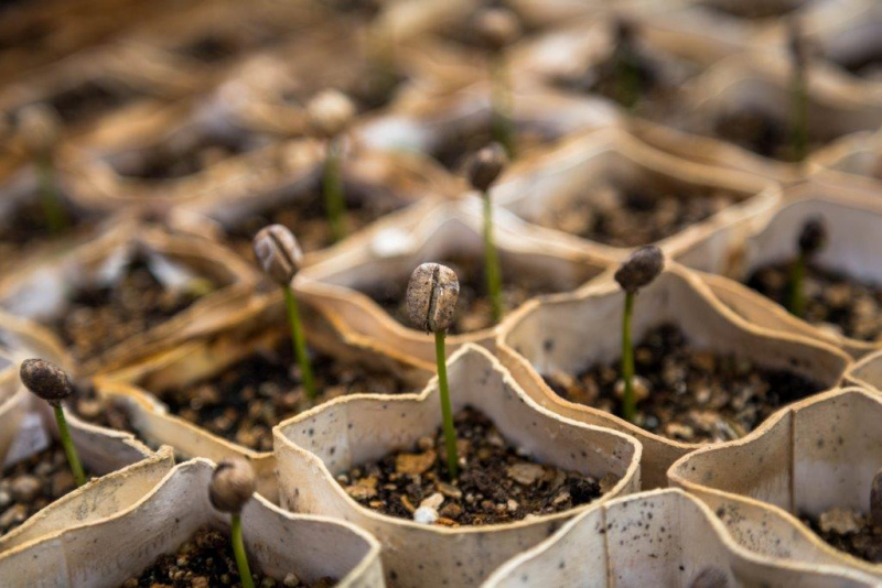 Workshop sobre Resíduos Agrícolas na APA - inscrições até 7 de novembro