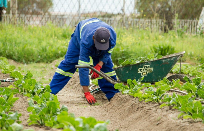 ALTERAÇÃO AO REGIME DOS TRABALHADORES INDEPENDENTES NA ATIVIDADE AGRÍCOLA debatido em Vila Real e Santarém